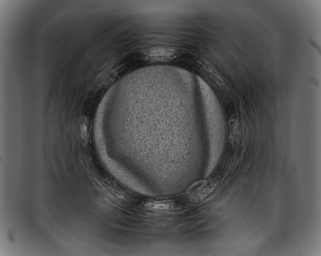 X0000097820655200803281122