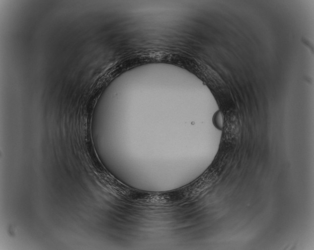 X0000097820656200803281122