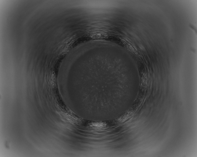 X0000097820659200803281122