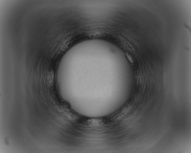 X0000097820660200803281122