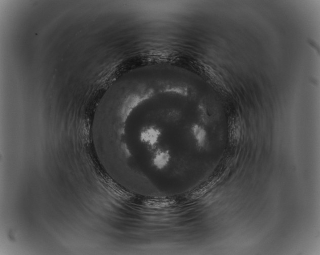 X0000097820661200803281122