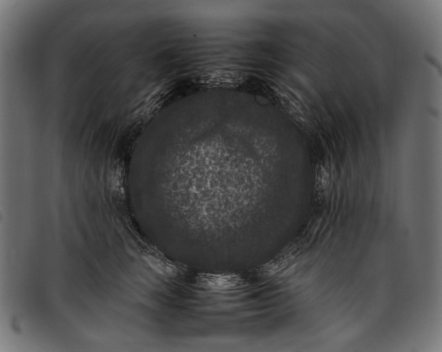 X0000097820663200803281122