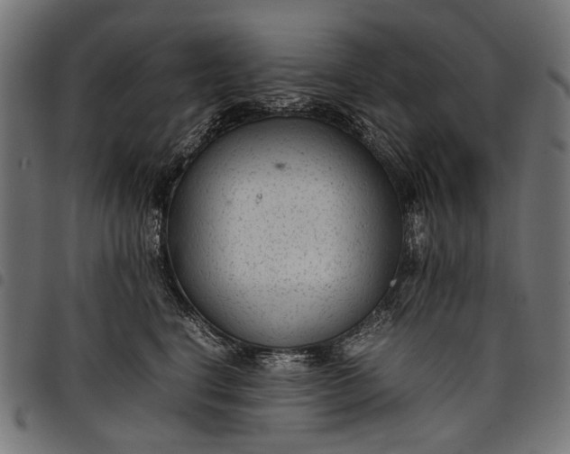 X0000097820664200803281122