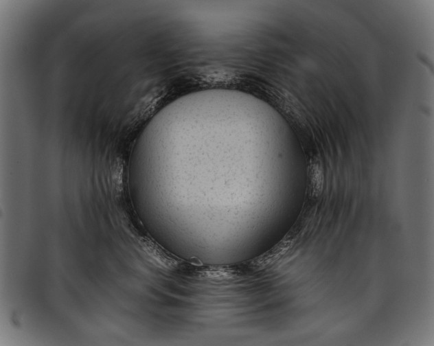 X0000097820668200803281122