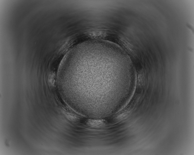 X0000097820671200803281122