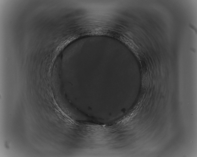 X0000097820673200803281122