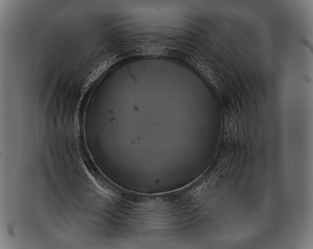 X0000097820674200803281122