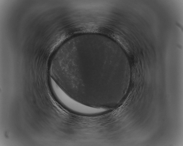 X0000097820677200803281122