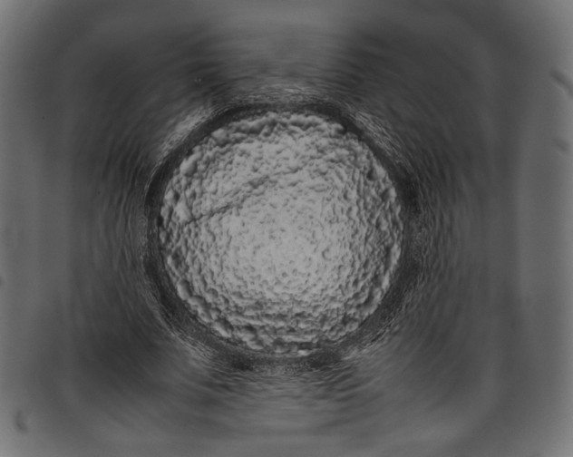 X0000097820679200803281122