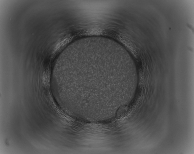 X0000097820681200803281122