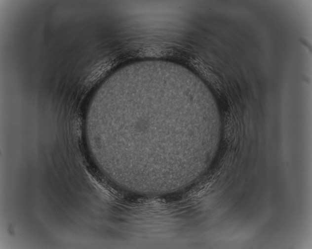 X0000097820683200803281122