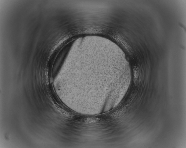 X0000097820684200803281121