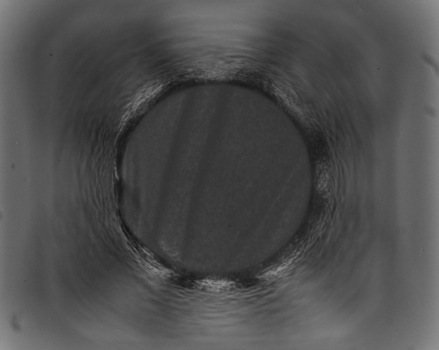 X0000097820685200803281121