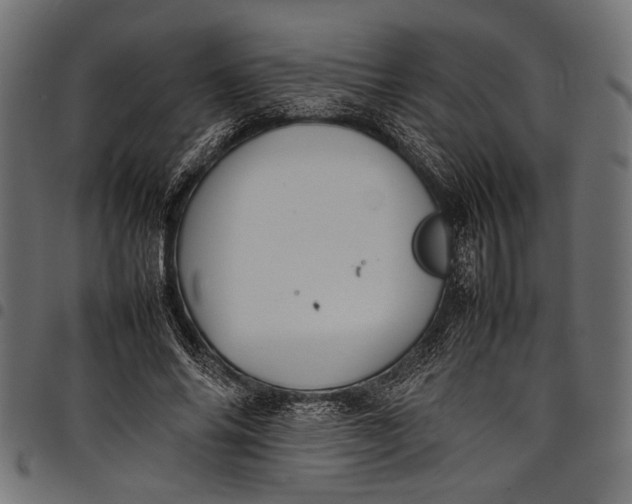 X0000097820686200803281121