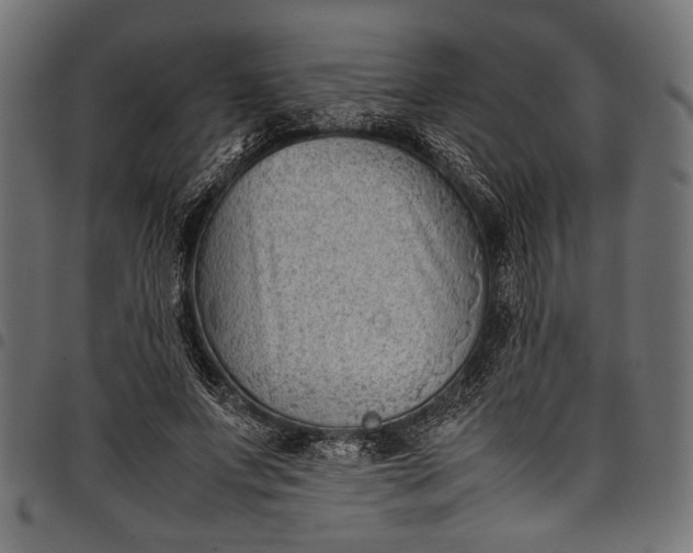 X0000097820687200803281121