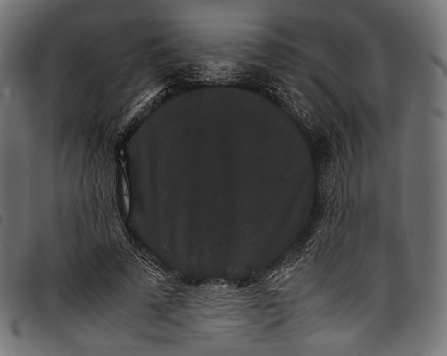 X0000097820689200803281121