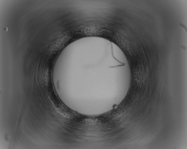 X0000097820690200803281121