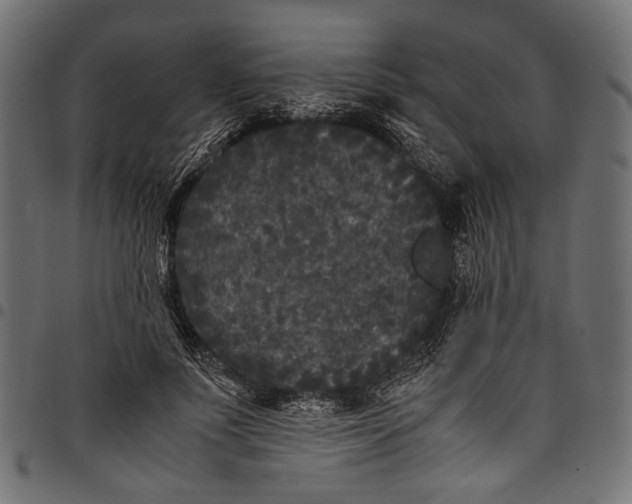 X0000097820691200803281121