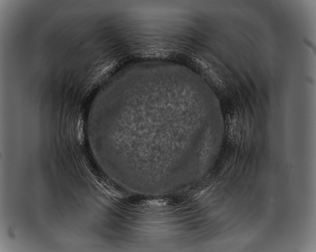 X0000097820692200803281121