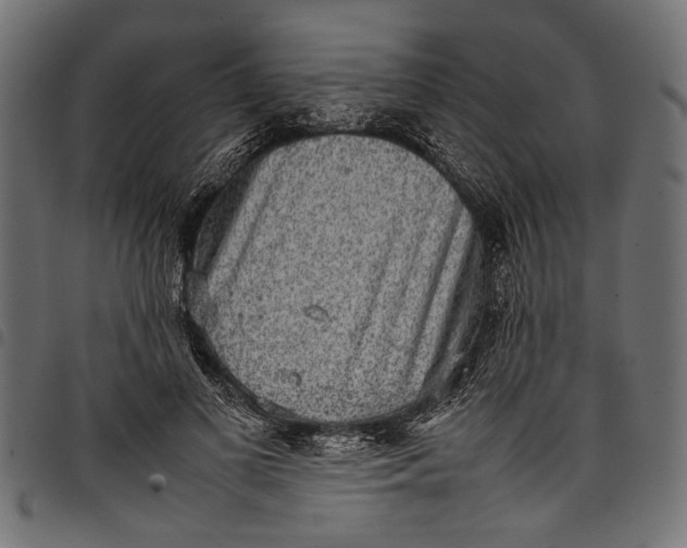 X0000097820693200803281121