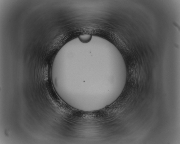 X0000097820694200803281121