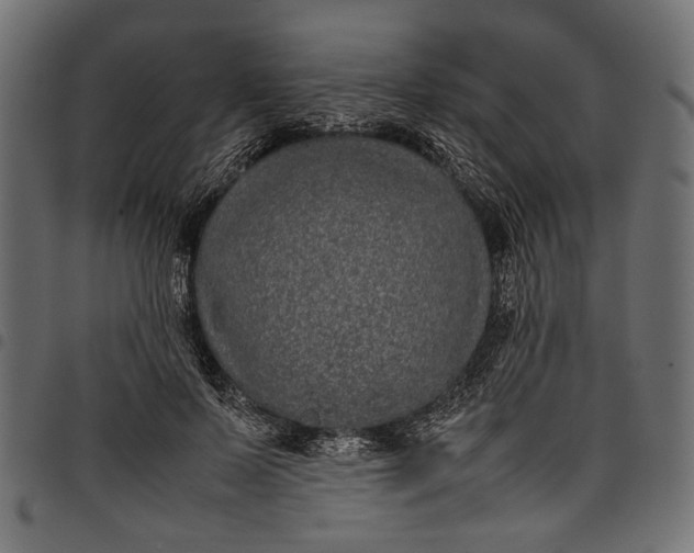 X0000097820695200803281121