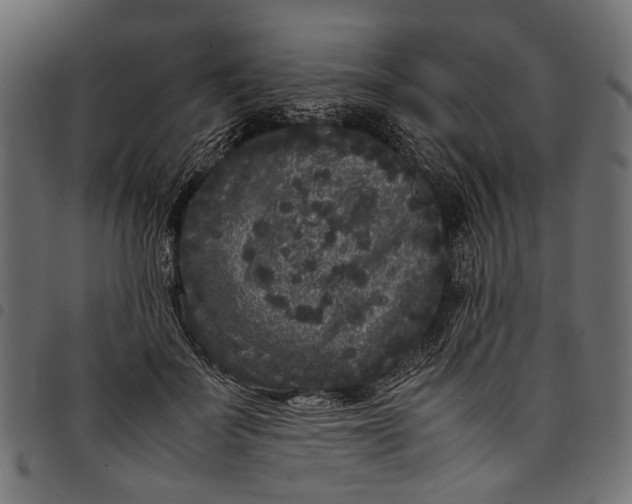 X0000097820699200803281121