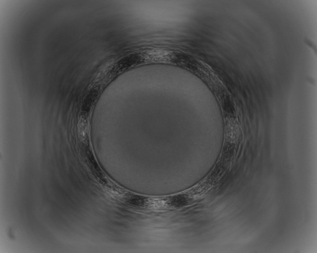 X0000097820701200803281121