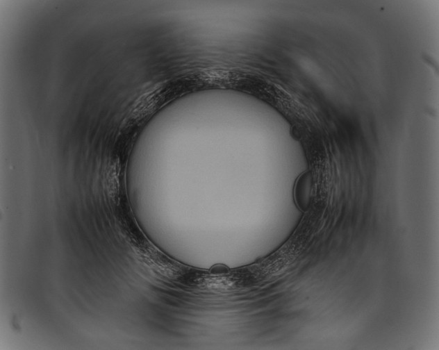 X0000097820702200803281121