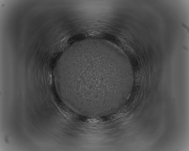 X0000097820703200803281121