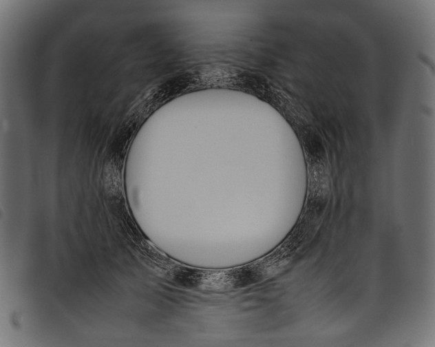 X0000097820705200803281121