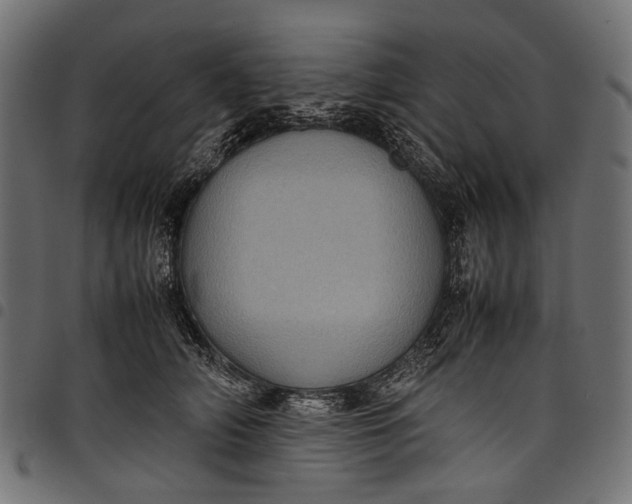 X0000097820706200803281121