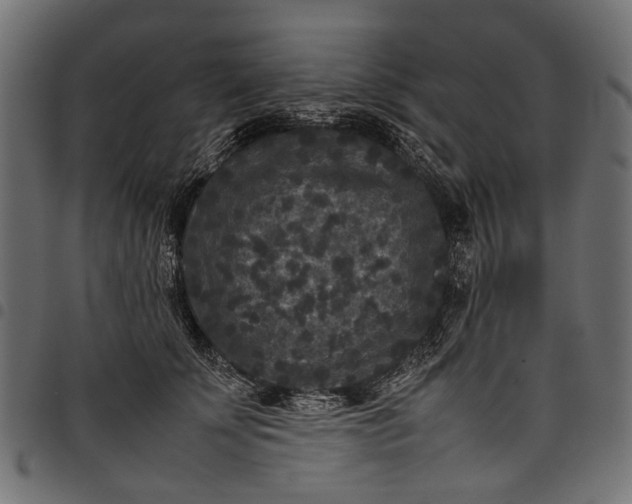 X0000097820707200803281121