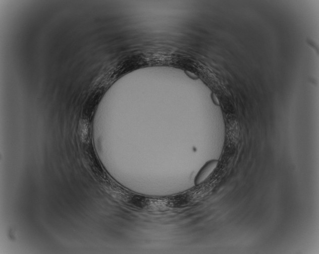 X0000097820709200803281121