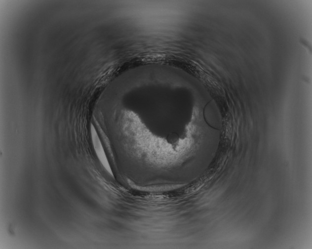 X0000097820711200803281121