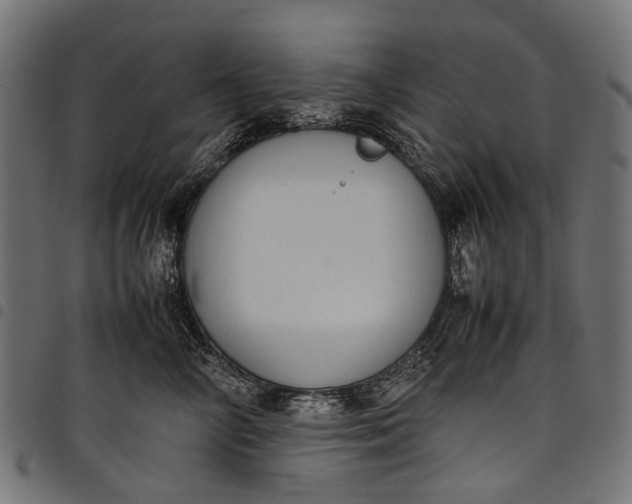 X0000097820714200803281121