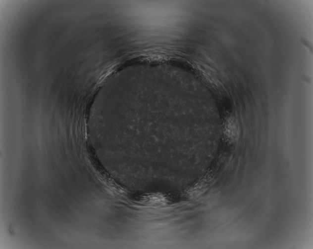 X0000097820715200803281121