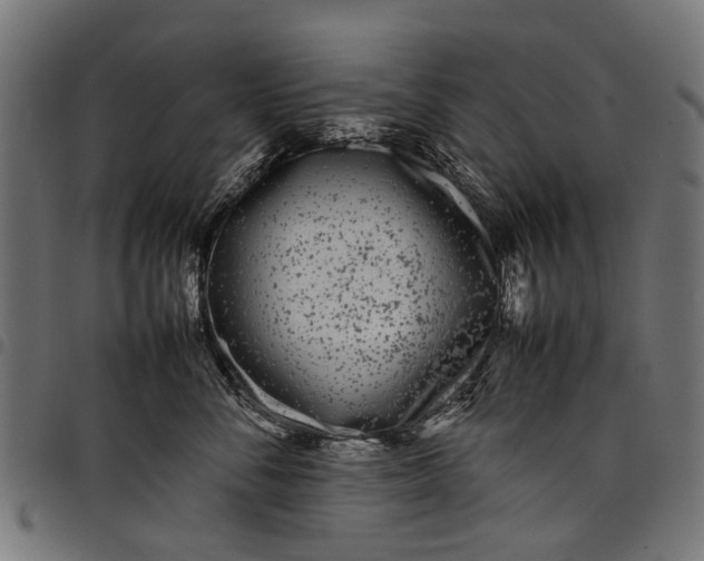 X0000097820716200803281121