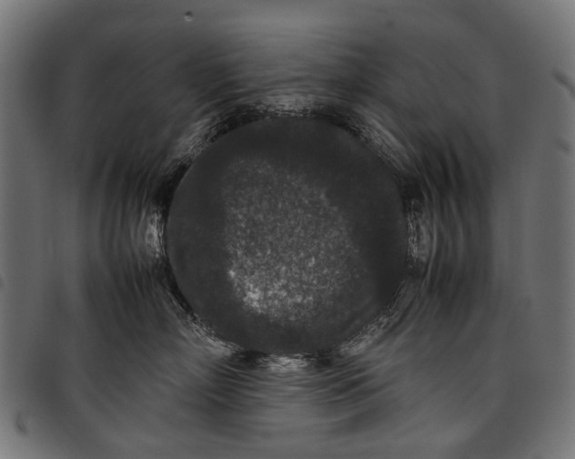 X0000097820718200803281121