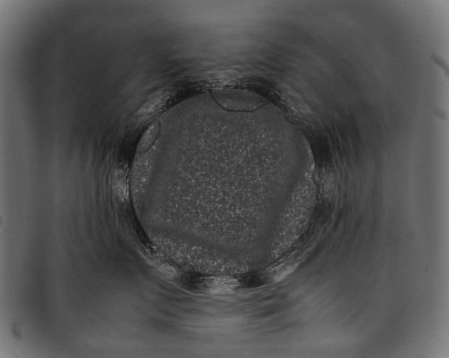 X0000097820719200803281121