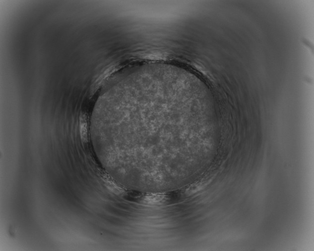 X0000097820720200803281121