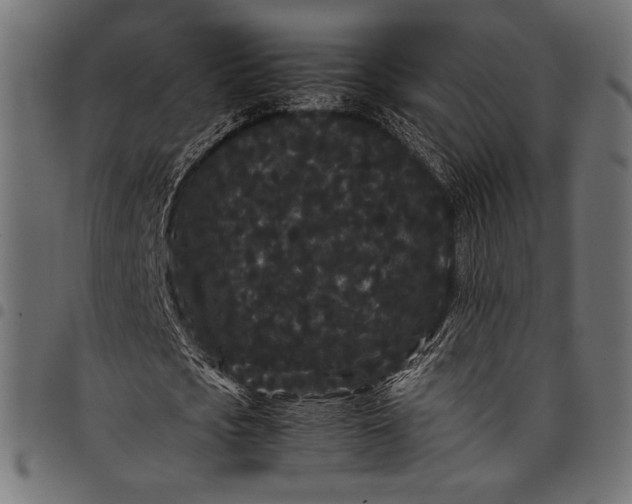 X0000097820721200803281120