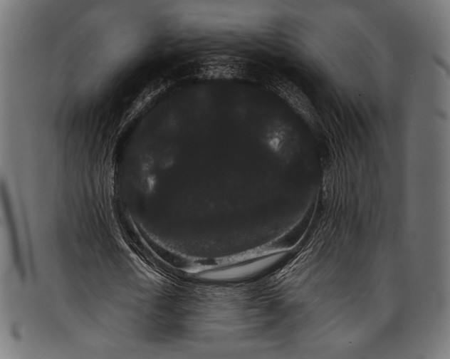 X0000097820722200803281120