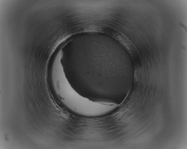 X0000097820724200803281120