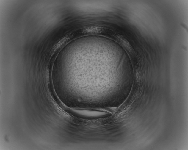 X0000097820725200803281120