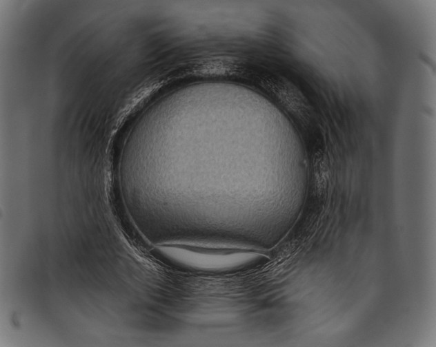 X0000097820728200803281120