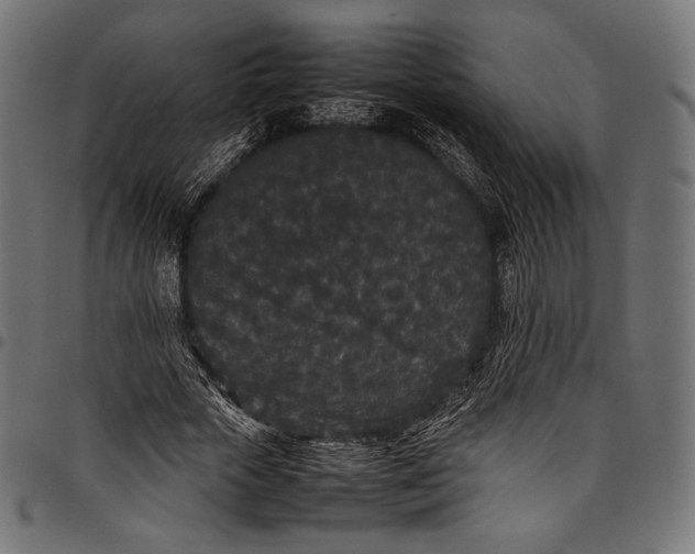 X0000097820729200803281120