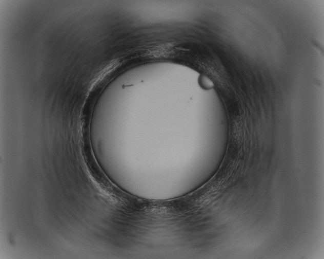 X0000097820730200803281120