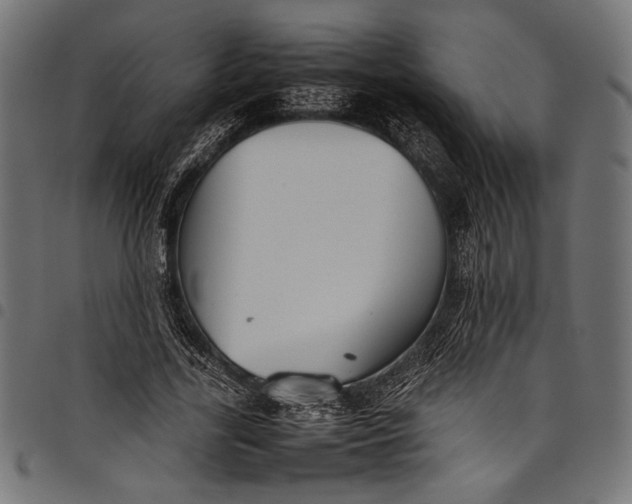 X0000097820731200803281120