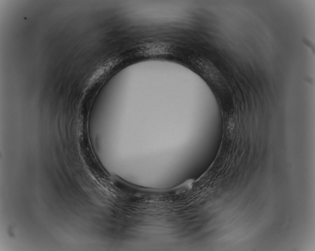 X0000097820732200803281120